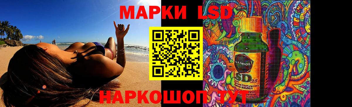 А ПВП Бор
