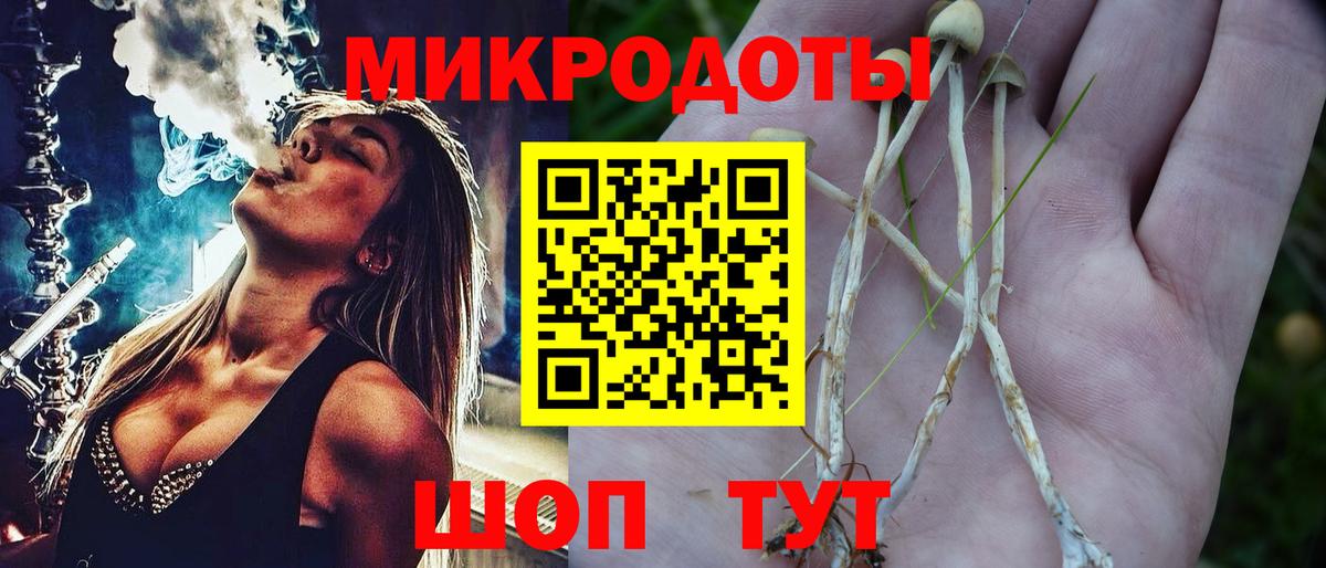 Бор  Псилоцибиновые грибы Psilocybine cubensis  купить наркотик  Вход с VPN 